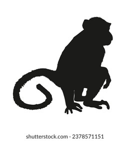 monkey silhouette. black monkey isolated on white background. cutout monkey. hand drawn monkey design. vector illustration. monochrome cartoon shadow vector silhouette.