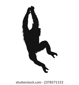 monkey silhouette. black monkey isolated on white background. cutout monkey. hand drawn monkey design. vector illustration. monochrome cartoon shadow vector silhouette.