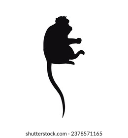 monkey silhouette. black monkey isolated on white background. cutout monkey. hand drawn monkey design. vector illustration. monochrome cartoon shadow vector silhouette.