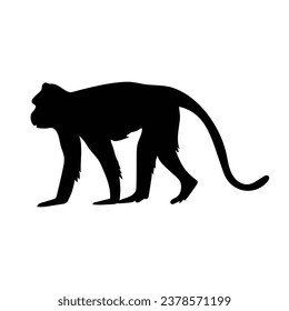 monkey silhouette. black monkey isolated on white background. cutout monkey. hand drawn monkey design. vector illustration. monochrome cartoon shadow vector silhouette.