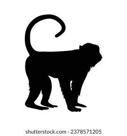 silueta de mono. mono negro aislado en fondo blanco. mono de corte. diseño de mono dibujado a mano. ilustración vectorial. silueta vectorial monocroma de sombra de dibujos animados.