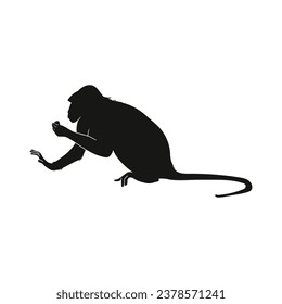 monkey silhouette. black monkey isolated on white background. cutout monkey. hand drawn monkey design. vector illustration. monochrome cartoon shadow vector silhouette.