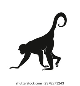 monkey silhouette. black monkey isolated on white background. cutout monkey. hand drawn monkey design. vector illustration. monochrome cartoon shadow vector silhouette.