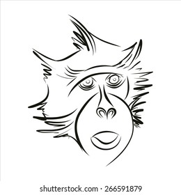 Monkey silhouette in black lines on a white background. Drawing by hand. Vector.