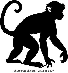 Monkey silhouette, Black and White