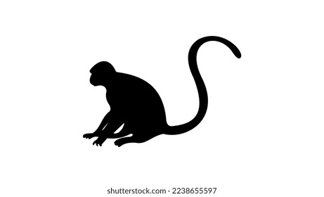 monkey silhouette high quality vector