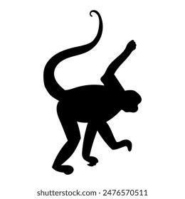 Monkey silhouette illustration isolated vector