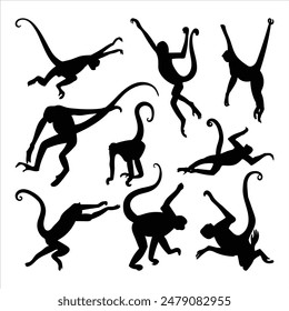 Monkey silhouette illustration isolated vector