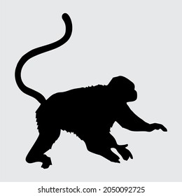 Monkey Silhouette, Monkey Isolated On White Background