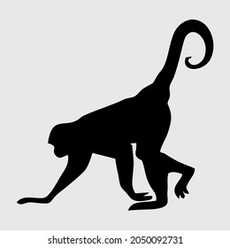 Monkey Silhouette, Monkey Isolated On White Background