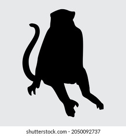 Monkey Silhouette, Monkey Isolated On White Background