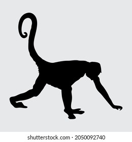 Affensilhouette, Affe einzeln auf weißem Hintergrund