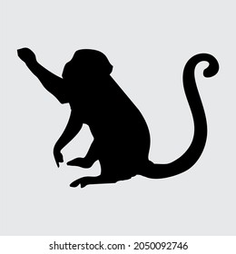 Monkey Silhouette, Monkey Isolated On White Background