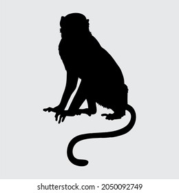 Monkey Silhouette, Monkey Isolated On White Background