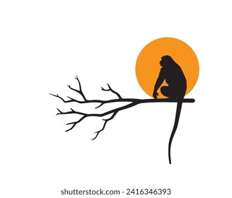 Monkey silhouette on branch on sunset, vector illustration isolated on white background. Minimalist art design