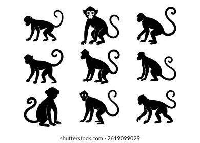 Monkey Silhouette Set Various Poses Bundle Cute Animal Collection Vector Graphic