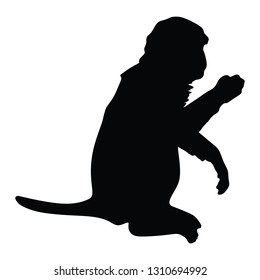 Monkey silhouette . Vector