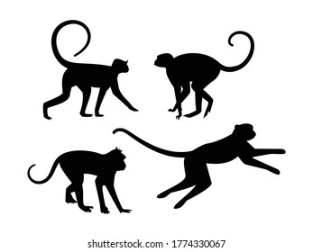 Monkey silhouette vector design set