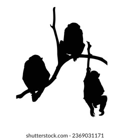 Monkey Silhouette Vector. Monkey Vector Illustration. Monkey Artwork.