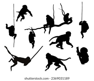Monkey Silhouette Vector. Monkey Vector Illustration. Monkey Artwork.
