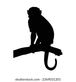 Monkey Silhouette Vector. Monkey Vector Illustration. Monkey Artwork.