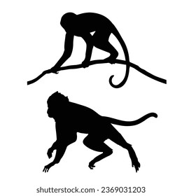 Monkey Silhouette Vector. Monkey Vector Illustration. Monkey Artwork.