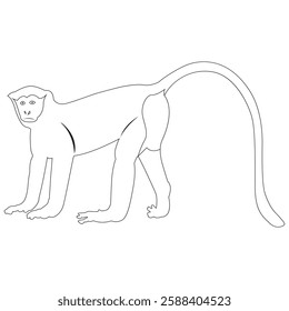 Monkey silhouette vector illustration black and white outline