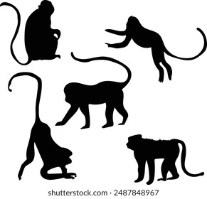 monkey silhouette vector illustration. 
Good for banner, poster, greeting card, party card, invitation, template, advertising, campaign, and social media. 
