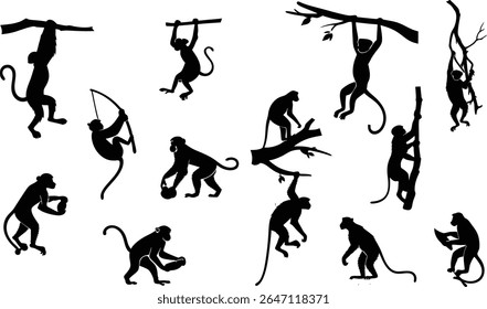 Monkey Silhouette Vector Set – 8 to 10 Action Poses in Solid Black icon set