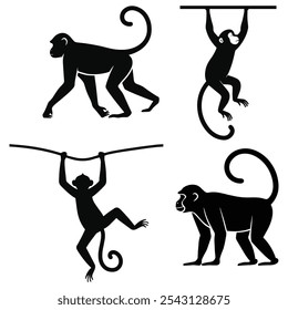 Monkey Silhouette Vectors for Wildlife and Animal Designs