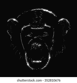 Monkey silhouette of white lights on dark background