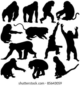 Monkey silhouettes