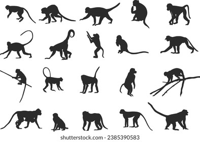 Monkey silhouettes, Monkey silhouette collection, Sitting monkey silhouette, Monkey vector illustration