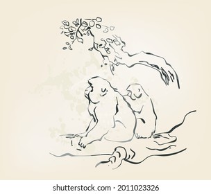 monkey sit vector card japanese chinese nature ink illustration engraved sketch traditional