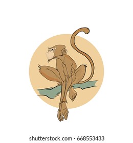 monkey sits on a branch color