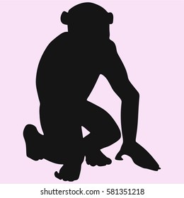 monkey, Sitting chimpanzee looks vector silhouette isolated