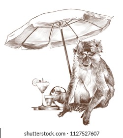 monkey sitting on the beach under a beach umbrella with a tropical flower on his head and standing next to a tray of beautiful cocktails and coconut, sketch vector graphics monochrome illustration