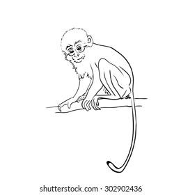 Monkey sitting on a branch. Vector illustration, sketch