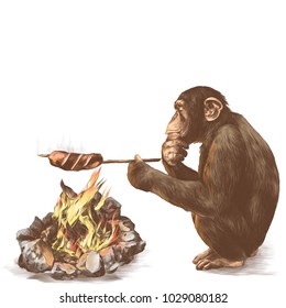 monkey sitting on his haunches and fry sausages on the campfire, sketch vector graphics color picture