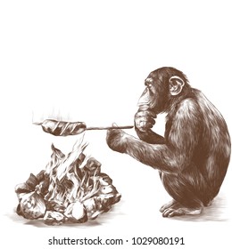 monkey sitting on his haunches and fry sausages on the campfire, sketch vector graphics monochrome drawing