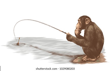 monkey sitting on his haunches with a fishing rod and catches a fish sketch vector graphics color picture