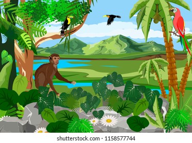 Monkey sitting on stone, birds on tree branches, jungle, wildlife and nature theme illustration