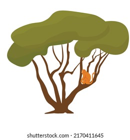 A monkey is sitting on a tropical tree. Jungles. Vector stock illustration. Isolated on a white background.