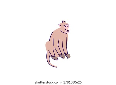 Monkey sitting semi flat RGB color vector illustration. Indonesian wildlife mammal. Grey chimpanzee. Safari conservation creature. Wild animal isolated cartoon character on white background