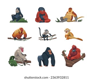 Monkey species. Cute tropical apes flat cartoon style, colorful funny wildlife jungle primates, zoo exotic animals in different poses. Vector isolated set. Wild fauna characters as gorilla, chimpanzee