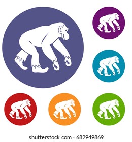 Monkey standing icons set in flat circle red, blue and green color for web