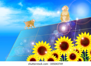 Monkey sunflower greeting card background