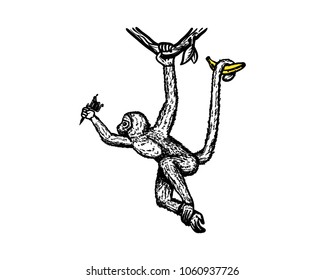 Monkey Swinging with Banana and Tatto Tool on the hand Hans Drawing Symbol Vector