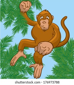 monkey swinging in the tree
