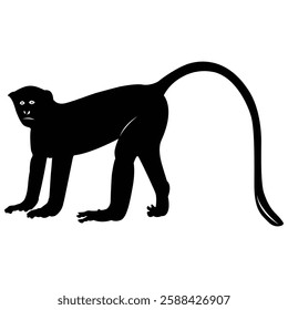 Monkey tail silhouette vector illustration black and white outline